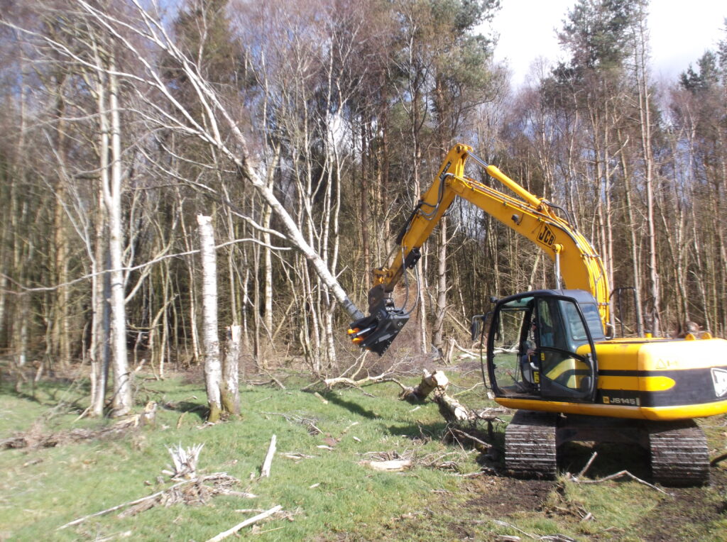 JCB JS 160 TREE SHEARS 